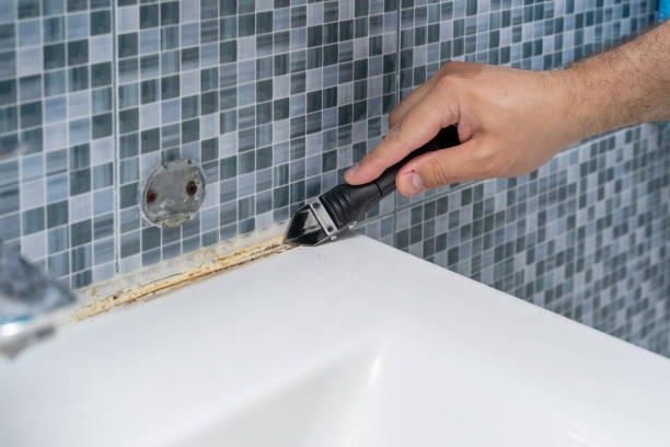 Best Fast Mold Removal  in Cherry Brah, NC