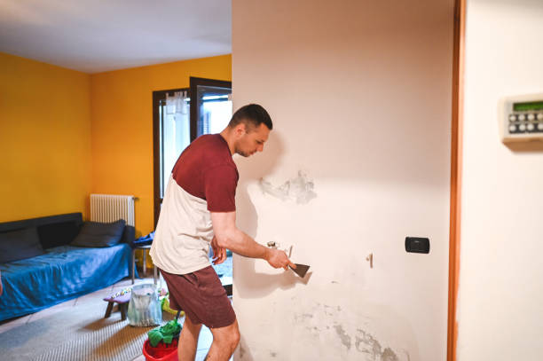 Best Certified Mold Removal  in Cherry Brah, NC
