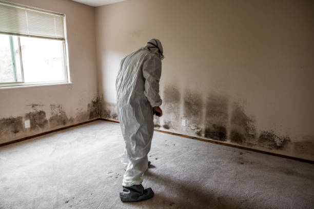 Best Crawl Space Mold Removal  in Cherry Brah, NC